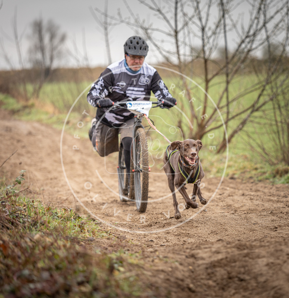 DV3A9274 | Hundefotografie, Tierfotograf, Pfotenfotografie, Fotoshooting Hund, Hunde Portrait, Hundesport, Hundeportraits, Heideshooting, Hunde, Sportfotograf, Hundefotograf, Turnierhundsport, THS,  - Realisiert mit Pictrs.com