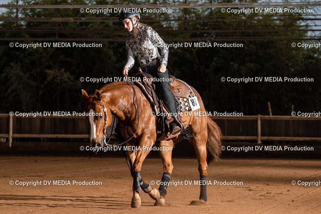 Erbach Tag 3-864 | dv-media-shop - Realisiert mit Pictrs.com