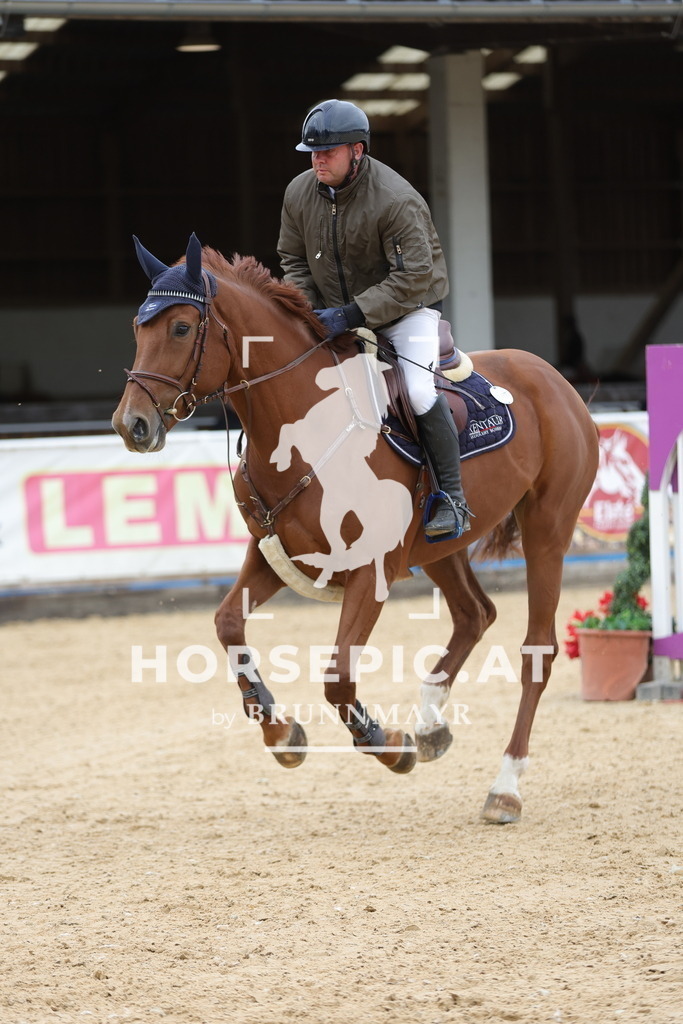 0P6A8174 | Willkommen bei Brunnmayr - Design & Fotografie – Ihrem Spezialisten für Reitturniere und Pferdeveranstaltungen in Oberösterreich, Salzburg und Bayern! Seit über 17 Jahren sind wir leidenschaftlich dabei.