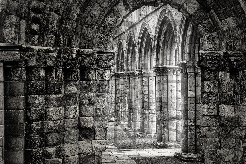 Ein Hans Fineart Original | Entdecke die Kunst von Hans Fineart - Fotografien für dein Zuhause. Verwandle deine Wände mit einzigartigen Kunstwerken und bringe die Schönheit der Welt in dein Leben. Bestelle jetzt und schaffe einen Ort der Inspiration und Eleganz.