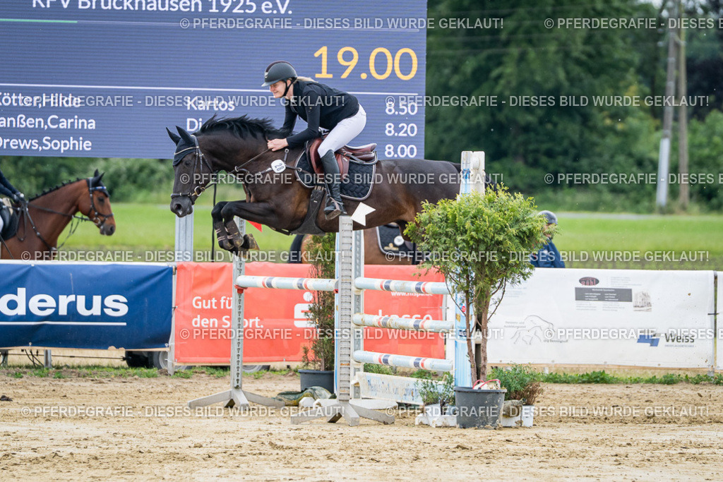 DSC04695 | Pferdegrafie