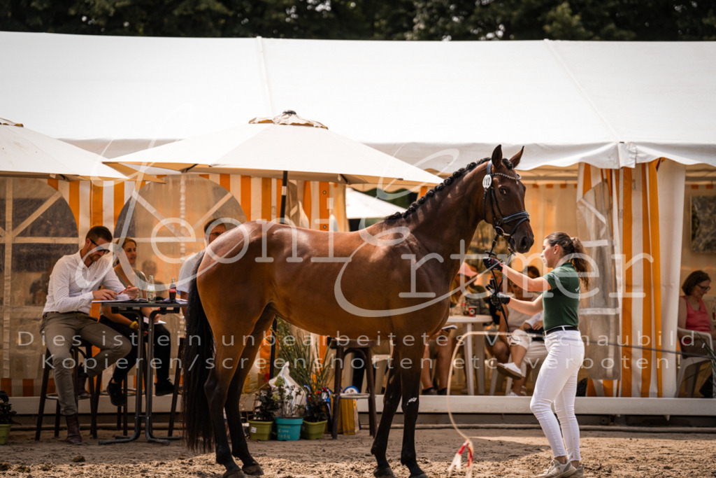 3.Fr00109 | Leoni Ertmer Photography - Realisiert mit Pictrs.com