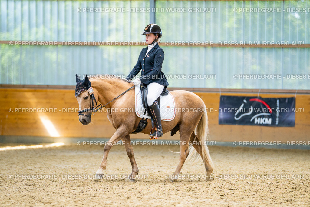 DSC09250 | Pferdegrafie