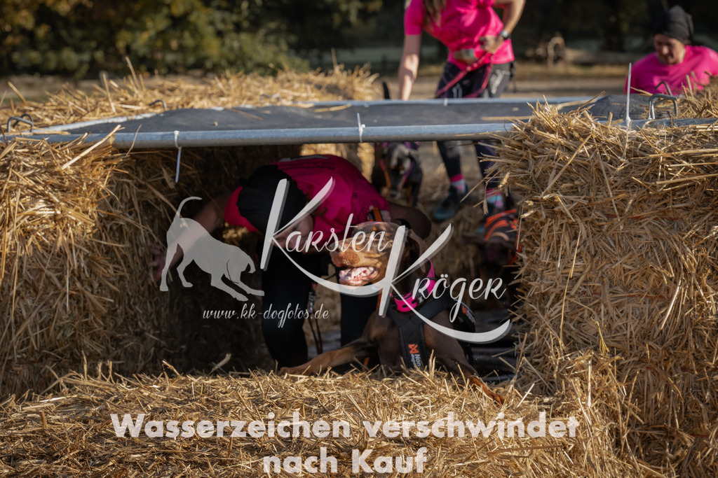 0954_ZZ95340 | kk-dogfotos