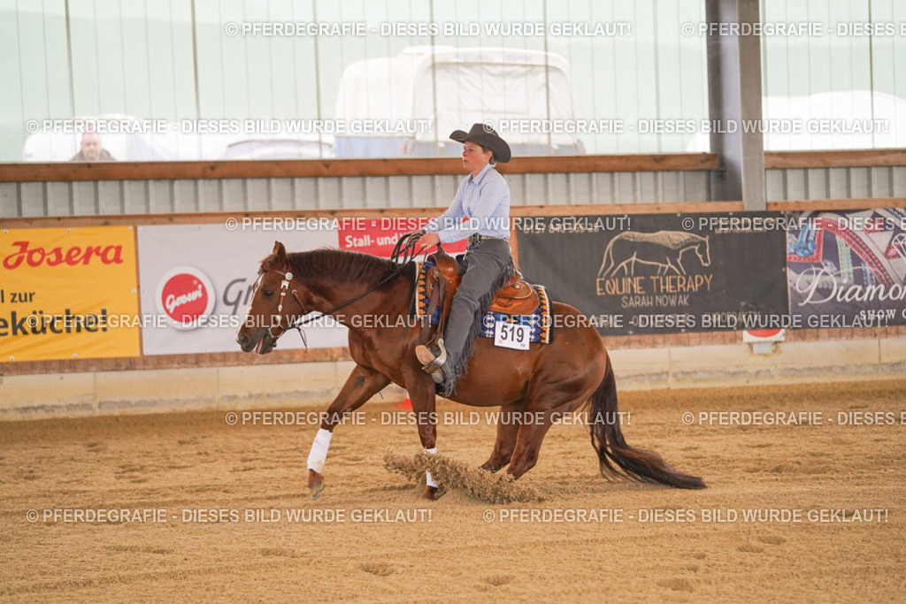 DSC00037 | Pferdegrafie