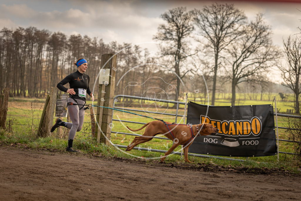 Pfotenfotografie_DV3A4421 | Hundefotografie, Tierfotograf, Pfotenfotografie, Fotoshooting Hund, Hunde Portrait, Hundesport, Hundeportraits, Heideshooting, Hunde, Sportfotograf, Hundefotograf, Turnierhundsport, THS,  - Realisiert mit Pictrs.com