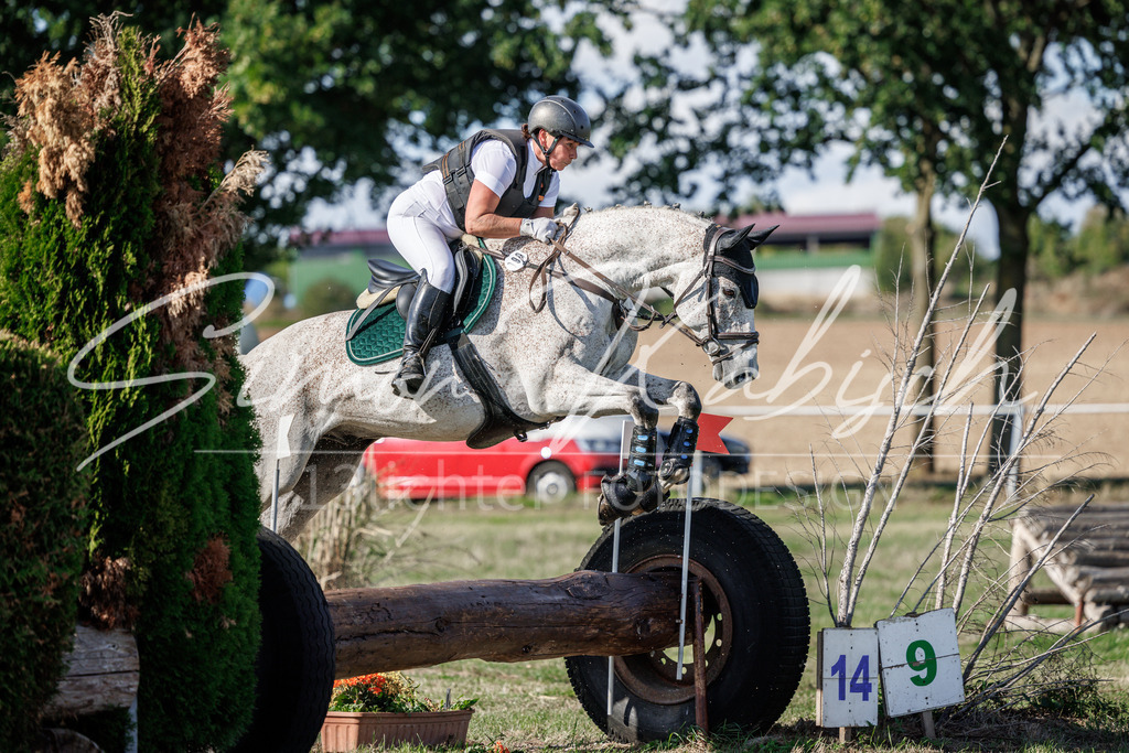 20260905-_3LI0197 | Tierfotografie Pferde, Hunde, Katzen, Haustiere.
Turnierfotografie Reitturniere, Reiten, Springreiten, Dressur in Hanau, dem Main-Kinzig-Kreis und dem Rhein-Main- Gebiet um Frankfurt