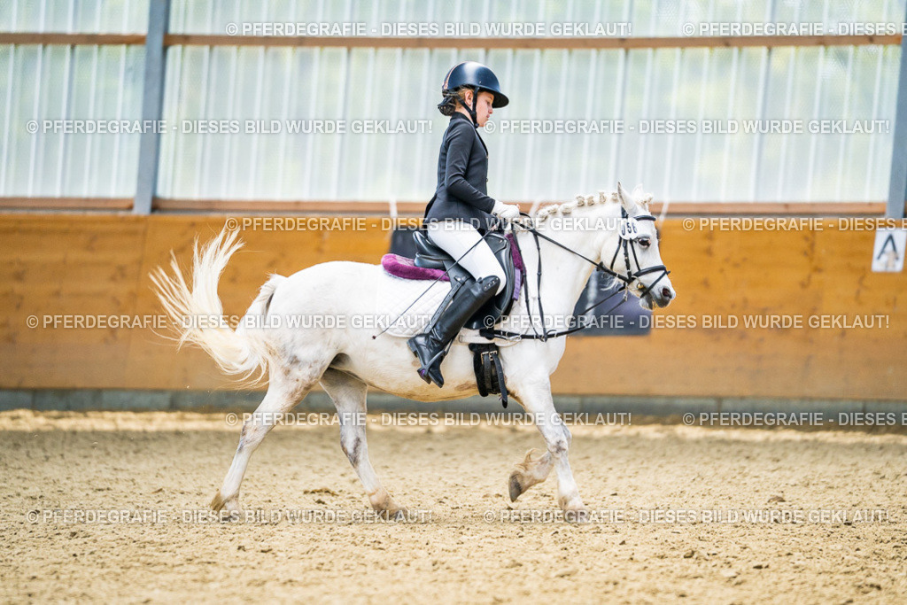 DSC04995 | Pferdegrafie