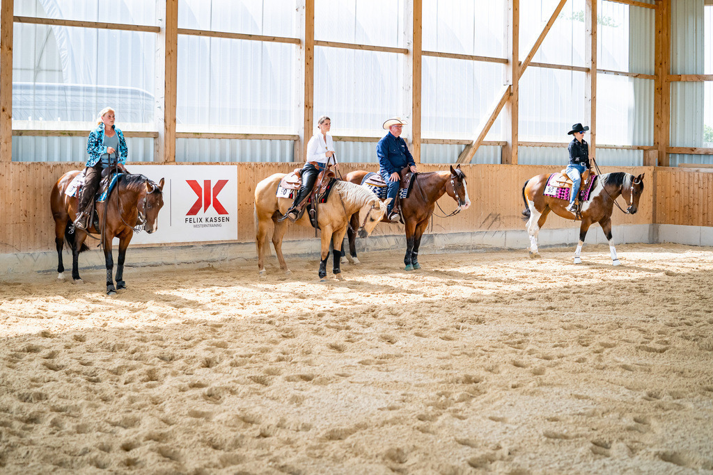 DSC04934 | Pferdegrafie