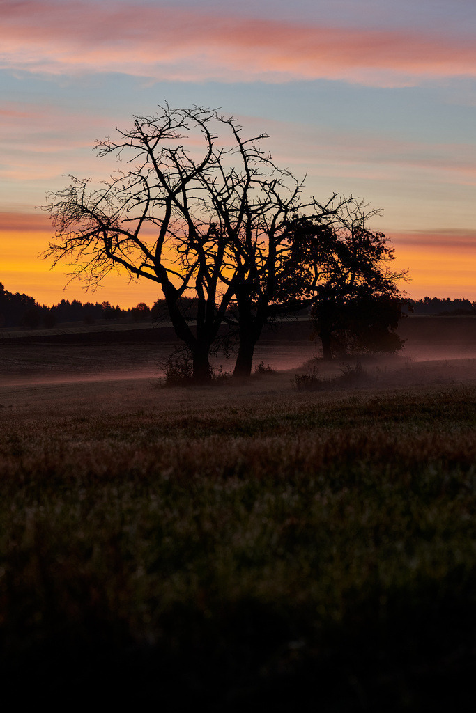 CS-201025-1920-2 | Sonnenaufgang im Nebel in der Fränkischen Schweiz