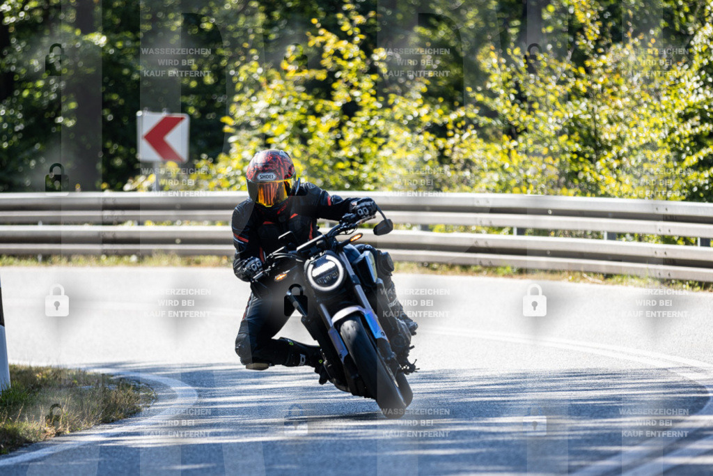 IMG_3451 | jrph - Realisiert mit Pictrs.com