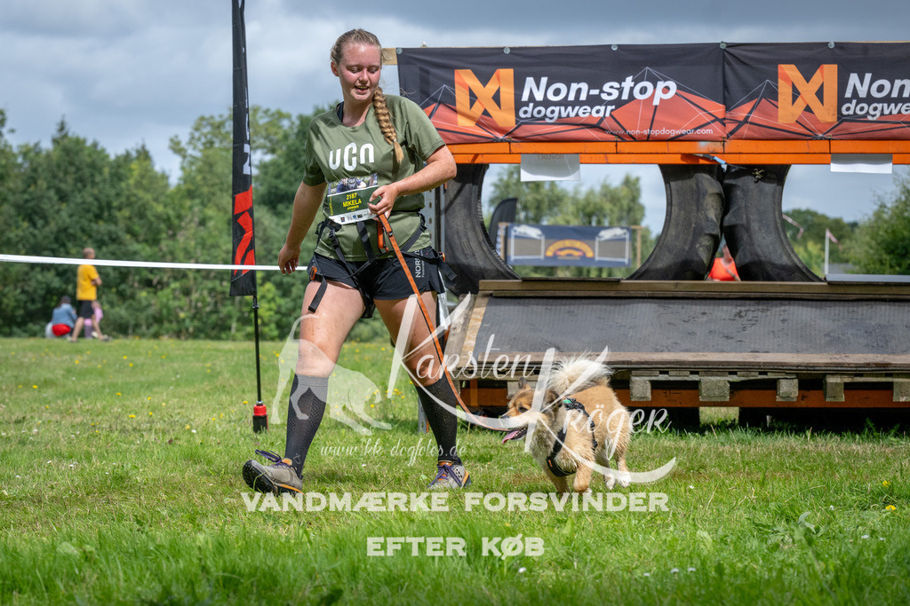 1152_ZZ93170 | kk-dogfotos