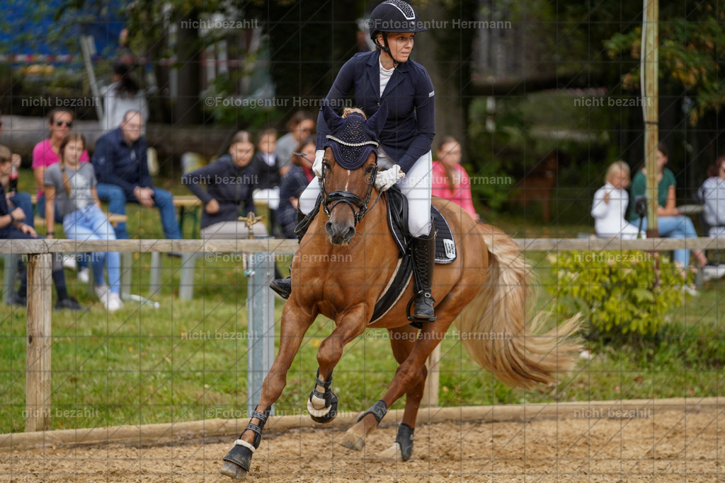 20231008-SN_01316 | Diessen am Ammersee, 2023, Dressur- und Springturnier, Reitsport, Turnierfotografie, Pferdebilder, Reitbilder, Turnierfotografen Bayern, Fotoagentur Herrmann