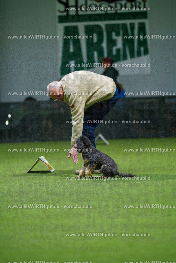 7R505695 | Professionelle Tierfotografie in Mönchengladbach von Daniel Wirth (allesWIRTHgut). Liebevolle & natürliche Bilder von Hunden & Katzen für unvergessliche Erinnerungen.