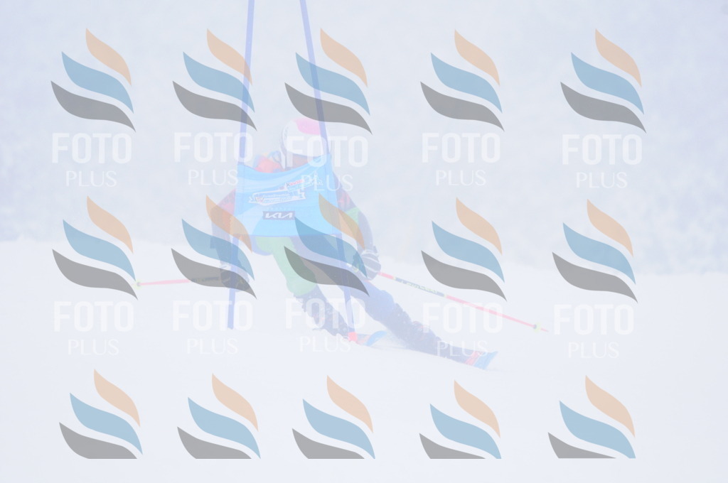 C3523 | holidayphoto