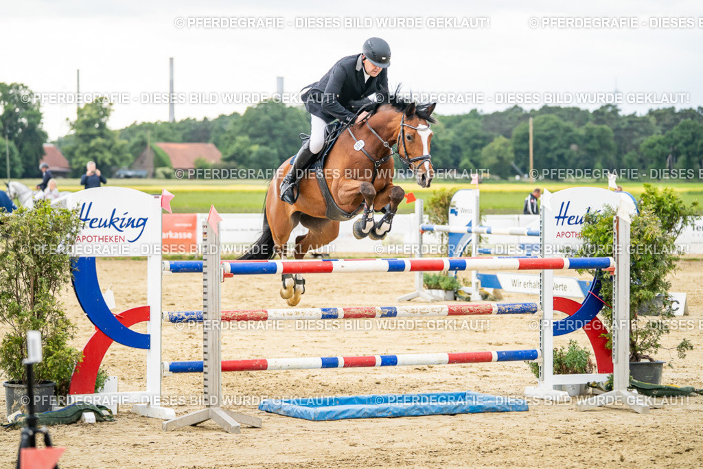 DSC06811 | Pferdegrafie