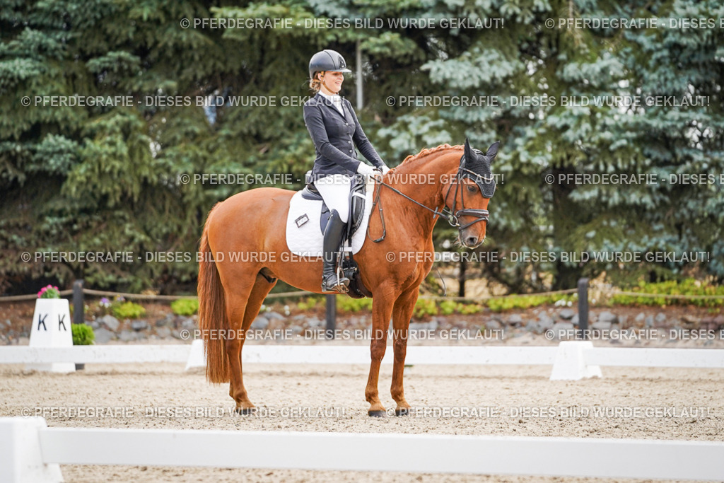 DSC01334 | Pferdegrafie