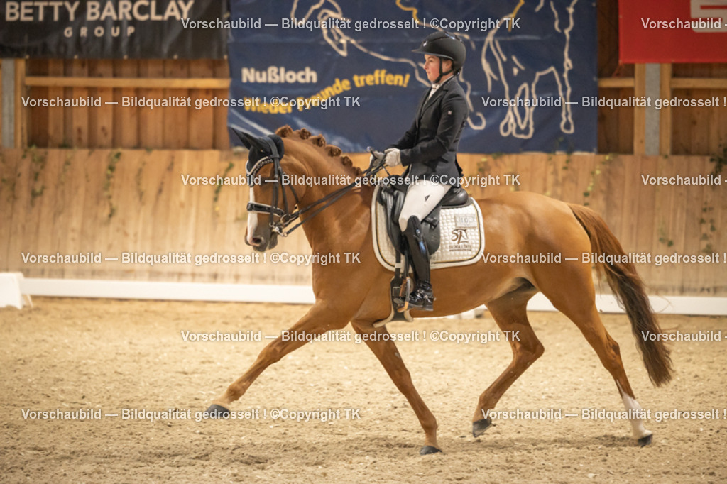 _D5A3720 | Emotionale Pferde- & People-Fotografie rund um Heidelberg, Leimen & Umgebung. Natürliche Fotos von Pferd, Mensch & Familie. Jetzt Termin sichern!