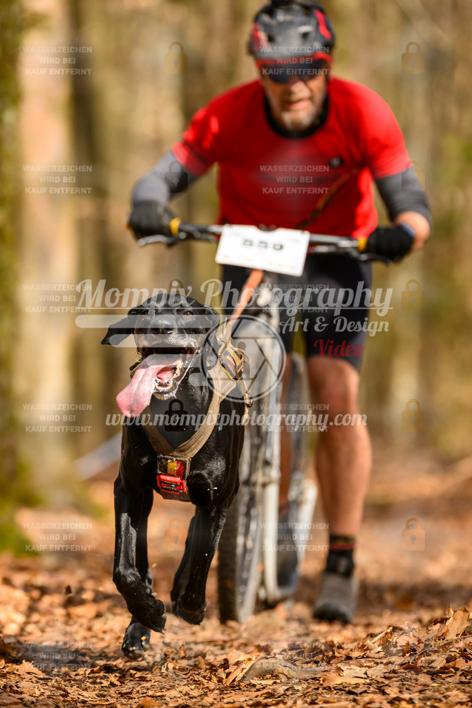 MompixPhotography_Habay2025_SA_SCO-52 | PayLife