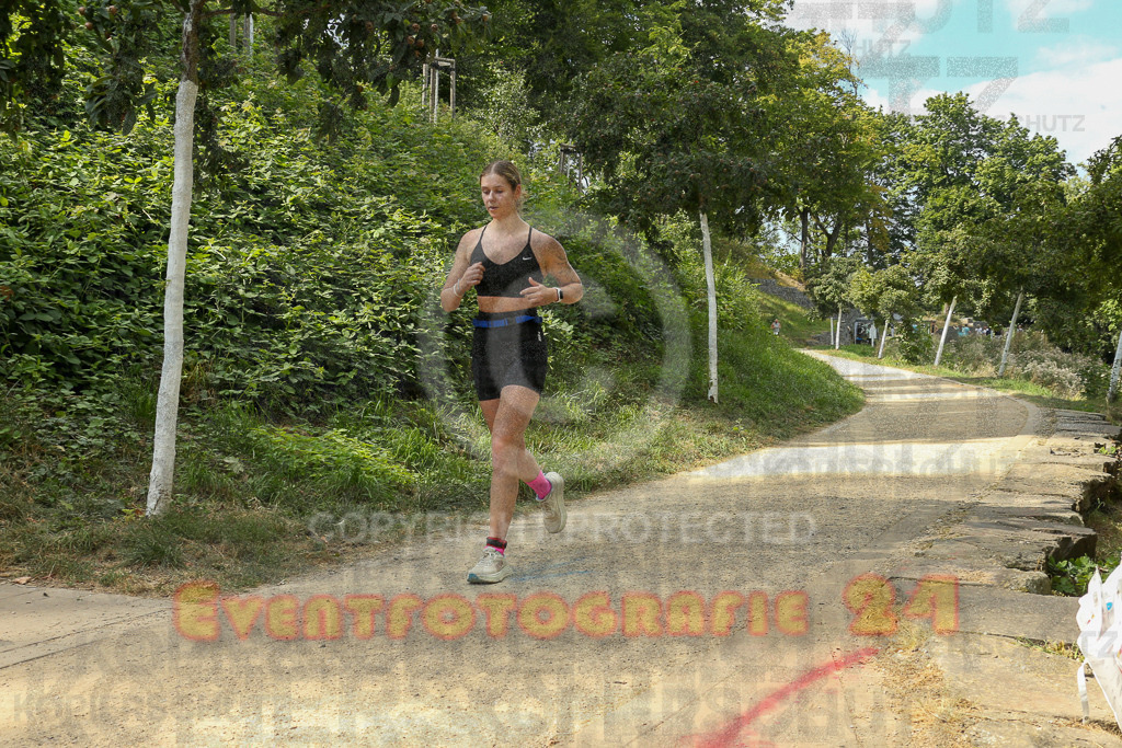 250824_1510_EX1_8623 | Sportfotografie im Rhein-Sieg Kreis, Köln, Bonn, NRW, Rheinland Pfalz, Hessen, etc. Unser Tätigkeitsfeld umfasst den Laufsport vom Volkslauf über den Marathon, Duathlon, Triathon bis zum Ultralauf wie Kölnpfad Ultra oder Schindertrail.