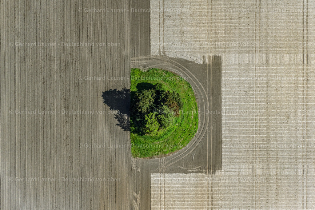 4062160 | INSEL POEL 08.09.2021 Senkrecht- Luftbild aus der Satelliten- Perspektive vom Baum- Insel auf einem bearbeiteten und umgepflügten Feld auf der Insel Poel im Bundesland Mecklenburg-Vorpommern, Deutschland. // Vertical aerial view from the satellite perspective of the island of trees in a worked and plowed up field in island Insel Poel in the state Mecklenburg - Western Pomerania, Germany. Foto: Gerhard Launer