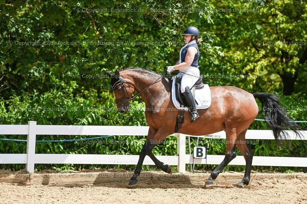 20230715_05_Dressurprüfung Kl.A++_0428 | equistock
