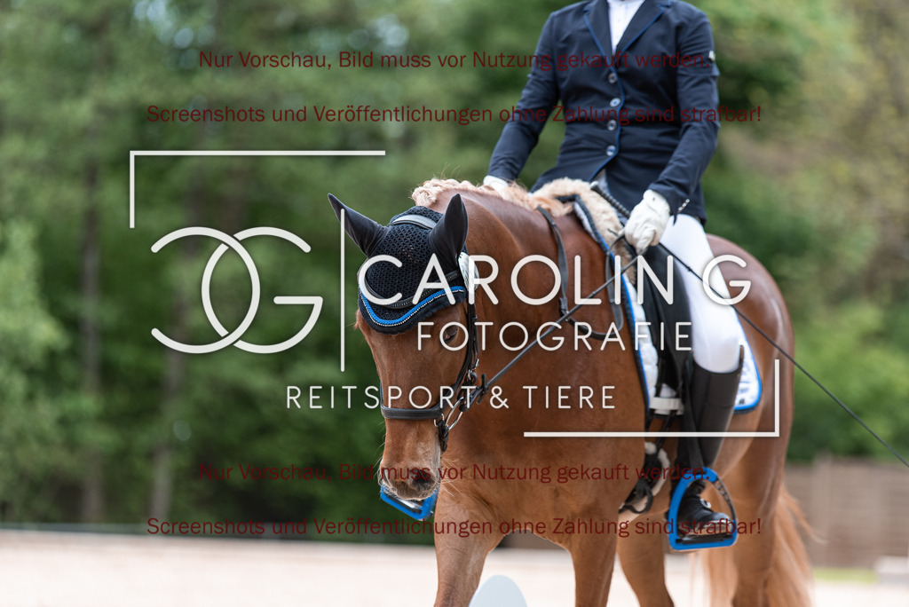 DSC_7070 | Turnierfotografin Carolin Gieschke,Reitsport Turnierfotografie Carolin G Fotografie | Turnierfotos aus Kirchheim/Teck, Esslingen, Stuttgart und dem Bodenseekreis