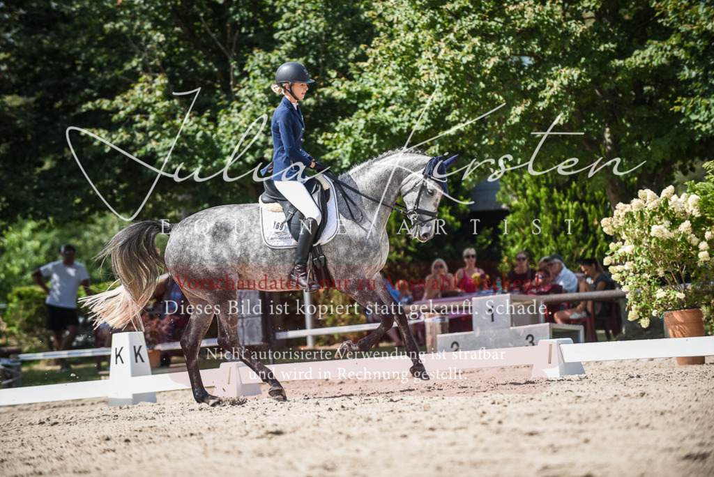DSC_9268 | Pferde- und Turnierfotografie in Westsachsen. Pferdeportraits, Auftragszeichnungen und intuitive Kunst.