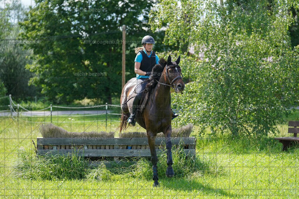 20240622-FAH07839 | Turnierfotografen Bayern, Reitsportbilder aus dem Geländekurs mit Felix Etzel auf dem Gut Waitzacker 2024