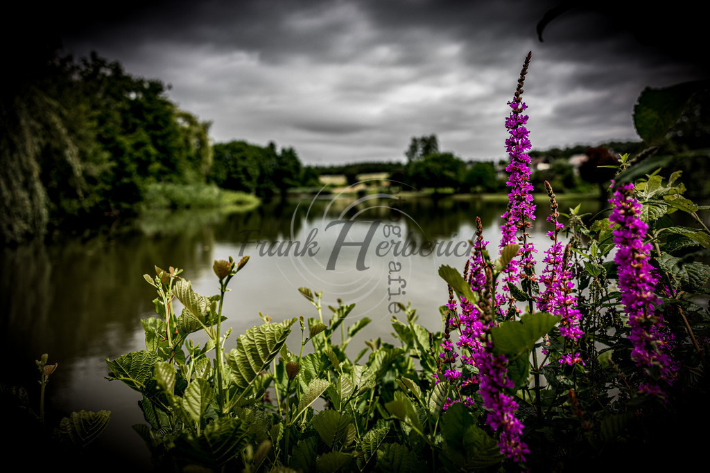 Gottersdorf | Frank Herberich Fotografie, Frank Herberich, Fotografie, Hochzeit, Portrait, St. Peter Ording, Ording, Westerhever, Nordsee, Frank Fotografie, Hardheim,  Odenwald,Walldürn, Band,Eventfotografie - Realisiert mit Pictrs.com