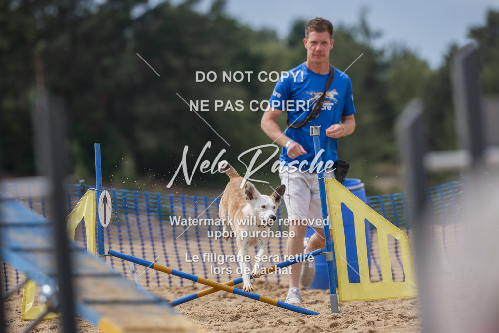 nelerasche_BuHu2026_So1530-Ende_44 | nelerasche