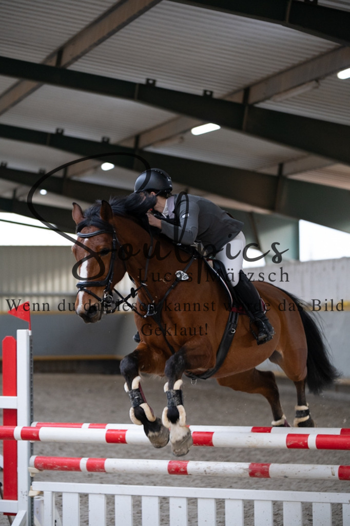 A7V04425 | Pferdefotograf