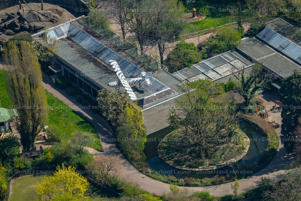 4020111 | Zoo, Frankfurt am Main