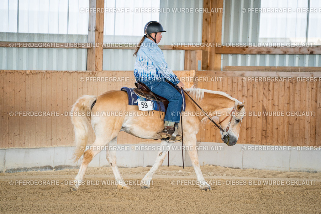 DSC08025 | Pferdegrafie