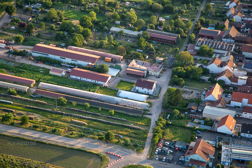 Luftbild: Abgebrannte landwirtschaftliche Lagerhalle Am Ettenbaum in Kandel im Bundesland Rheinland-Pfalz in Deutschland. Foto: IMG_136267.jpg vom 07.06.2023 durch Werner Riehm/FLY-FOTO.de