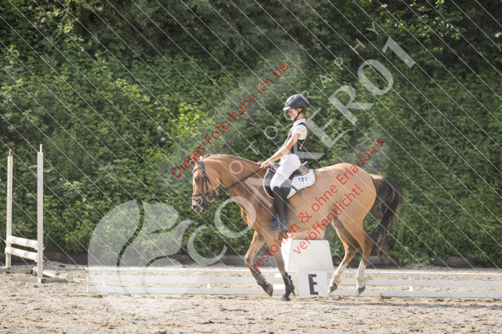 IMG_5888 | Sport-, Event- und Tierfotos in Profiqualität. Einfach auswählen, bestellen und herunterladen. Dein Moment – perfekt festgehalten.