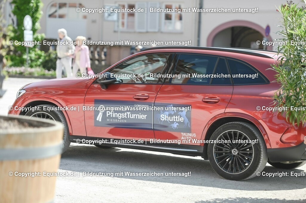 D78_2884 | equistock