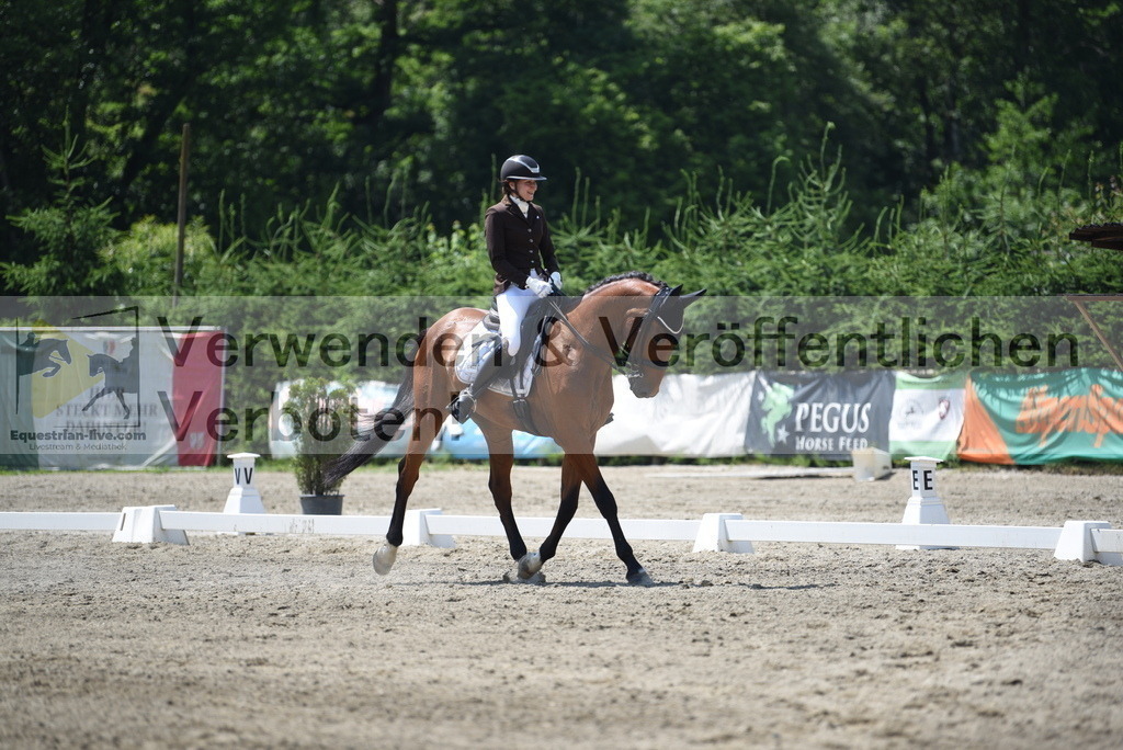 DSC_1075 | equestrian-live-com