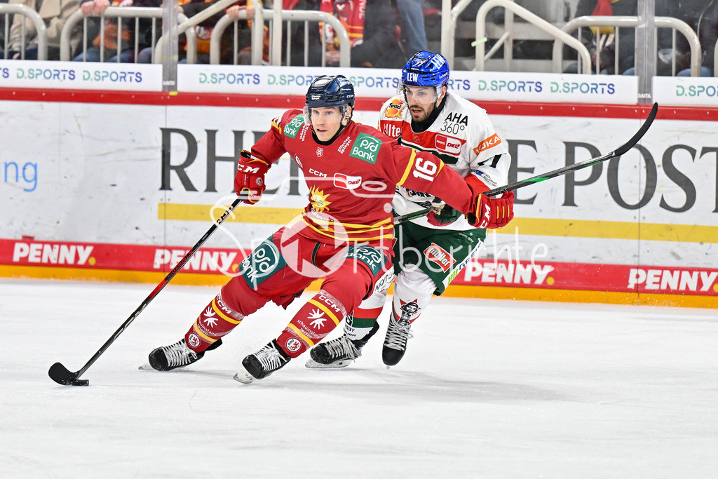 Düsseldorfer EG - Augsburger Panther | im Duell Kyle CUMISKEY (Duesseldorfer EG 16) und Luca TOSTO (Augsburger Panther #77) / Zweikampf / DEL: Duesseldorfer EG - Augsburger Panther, PSD Bank Dome am 22.12.2024