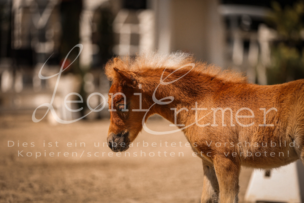 01.DoKR00088 | Leoni Ertmer Photography - Realisiert mit Pictrs.com