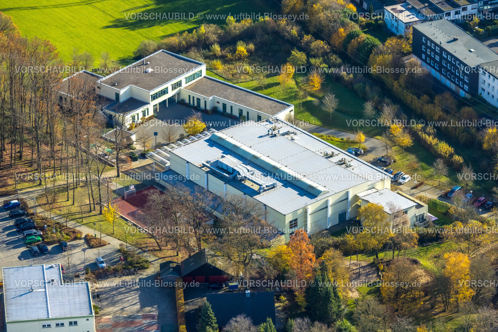 Wetter251103802 | Luftbild, Georg-Müller-Schule Gesamtschule (nur SeK I), Sporthalle, herbstliche Bäume, Schmandbruch, Wetter, Ruhrgebiet, Nordrhein-Westfalen, Deutschland