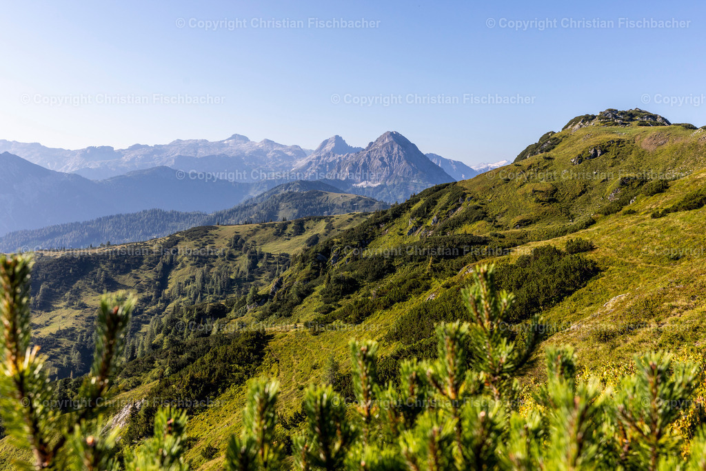 Fotos_Copyright_Chri_Fischbacher_Druck-327 | Bildershop Chri Fischbacher - Realisiert mit Pictrs.com