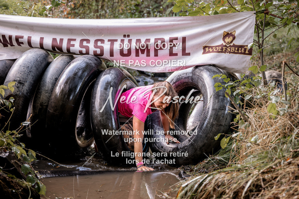 nelerasche_Hunsrück2026_Sa1400-1500_133 | nelerasche