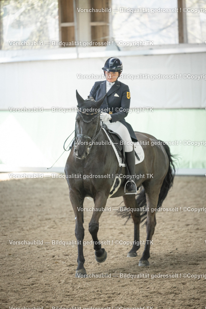 _D5A1574 | Emotionale Pferde- & People-Fotografie rund um Heidelberg, Leimen & Umgebung. Natürliche Fotos von Pferd, Mensch & Familie. Jetzt Termin sichern!