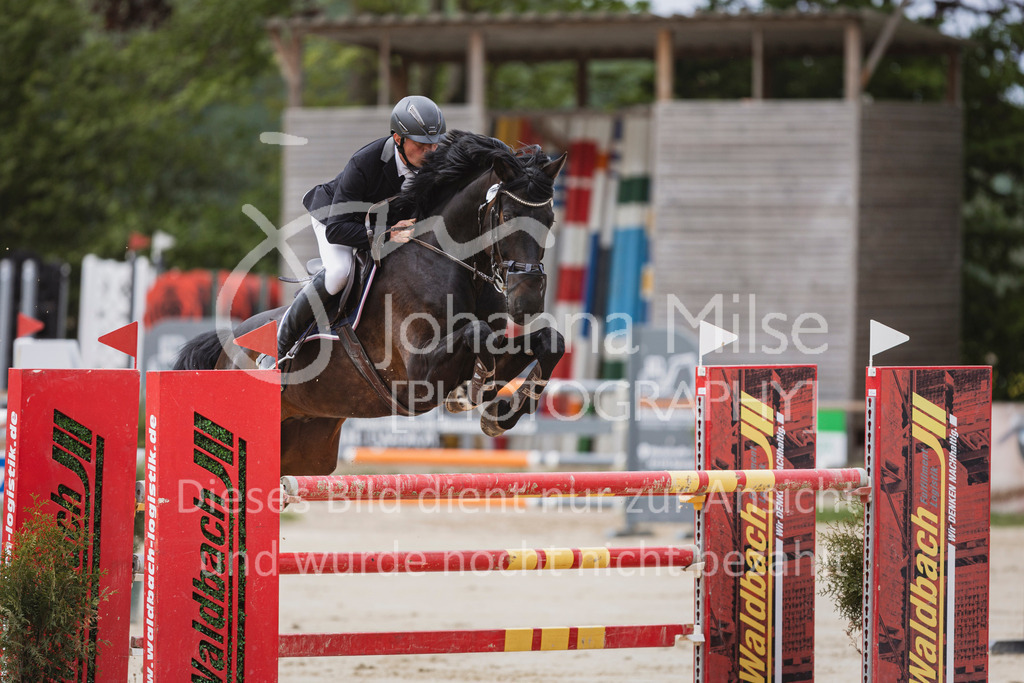 250504_SpengeW_M2-Spr-443 | Deine schönsten Turniermomente als professionelle Fotos! Entdecke hochwertige Pferdesport-Fotografie im Online-Shop. Jetzt Fotos finden & bestellen!