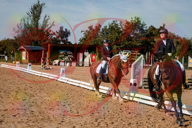 2026_10_03_Siefer-Hof_130444_Z63_67808980 | Professionelle Reitsport-, Turnier- und Eventfotografie von Robert Broda. Galerien mit ausgewählten und bearbeiteten Bildern direkt online ansehen und bestellen.