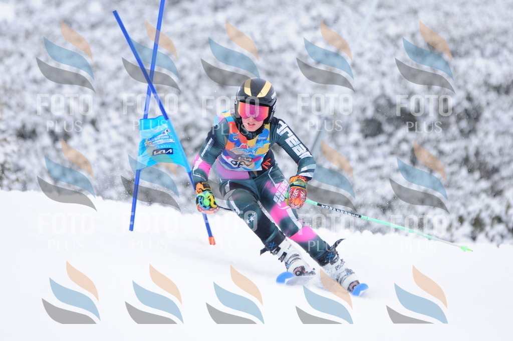 C3893 | holidayphoto