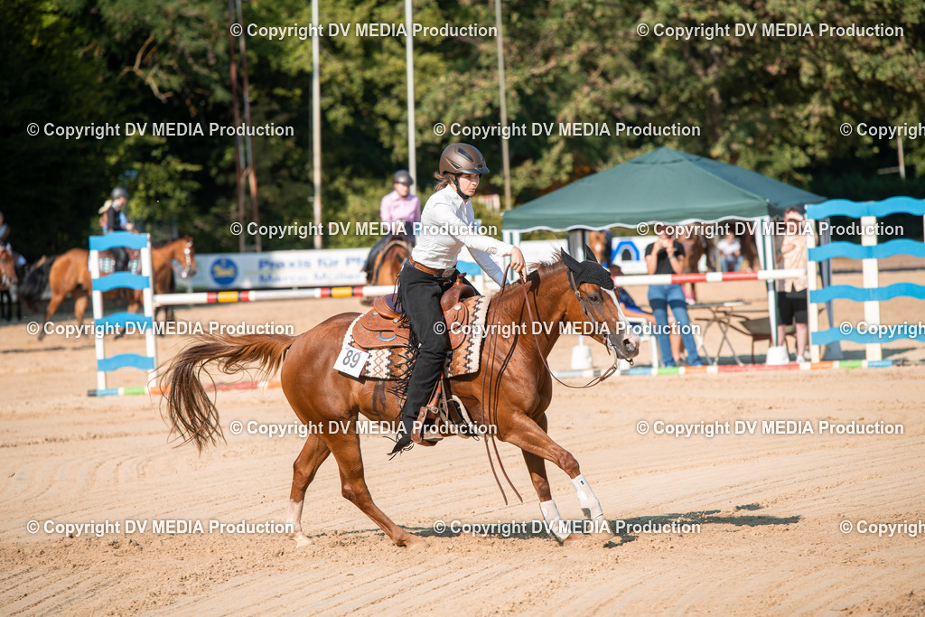 ZS2_8838 | dv-media-shop - Realisiert mit Pictrs.com