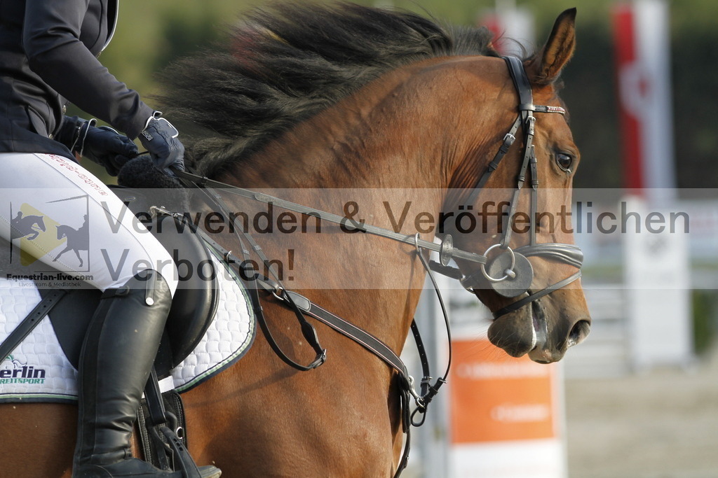 _MG_8811 | equestrian-live-com