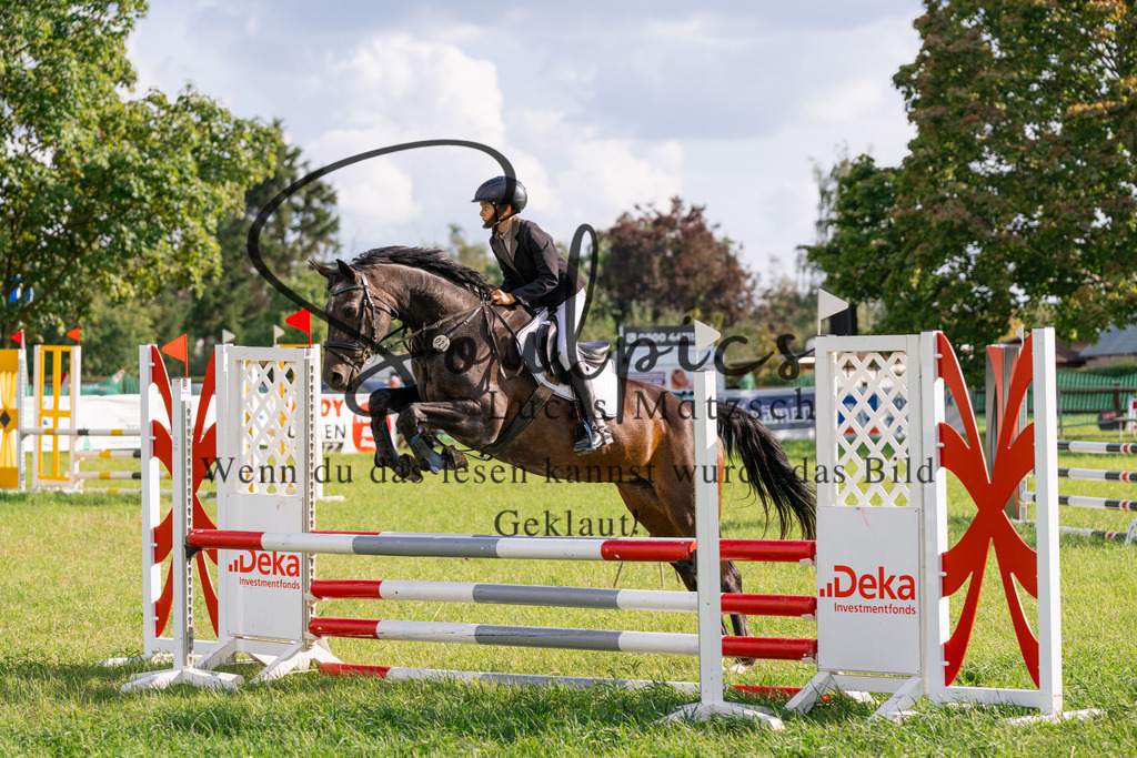 A7V03569 | Pferdefotograf